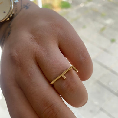 F Ring verstellbar